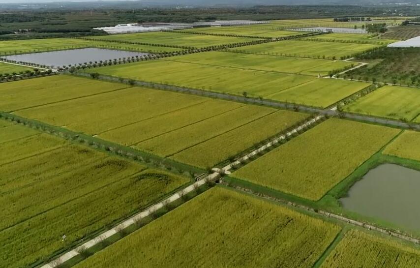常州金坛最美乡村,金坛有哪些美丽乡村