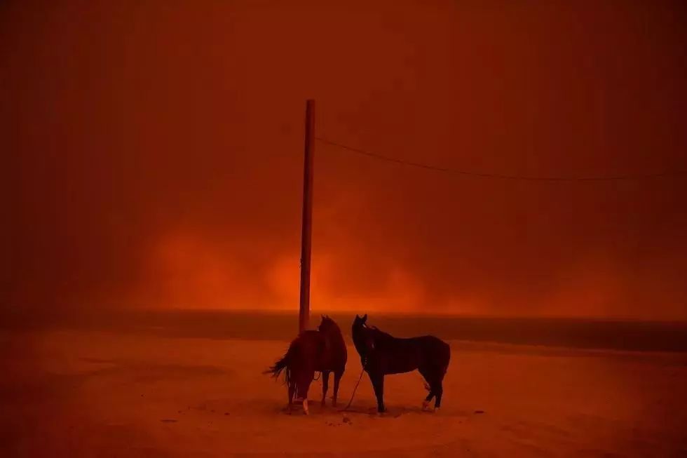 荷赛奖2019获奖作品赏析,荷赛奖作品2019年