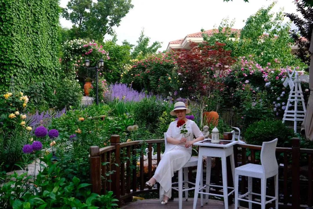 东北花园四季开花植物,北方一年四季都开花的花园