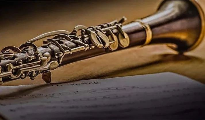 冷门却很惊艳的乐器,十大最有气质的乐器适合女生