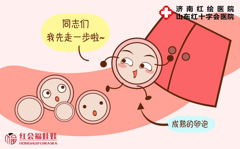 排卵期间什么感觉都没有正常吗,排卵期会有哪些不适症状