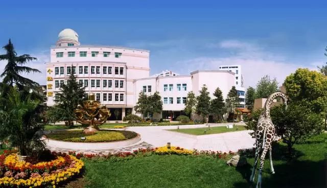 武汉最好10所高中,武汉前十名好学校