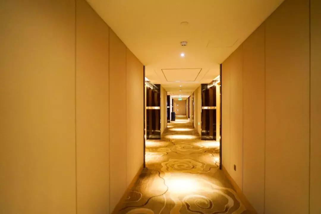 「思远说酒店」汉*江阳**滩繁华地——世茂希尔顿