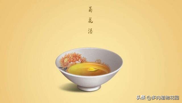 可食用的菊花有哪些,菊花能吃的有哪几种