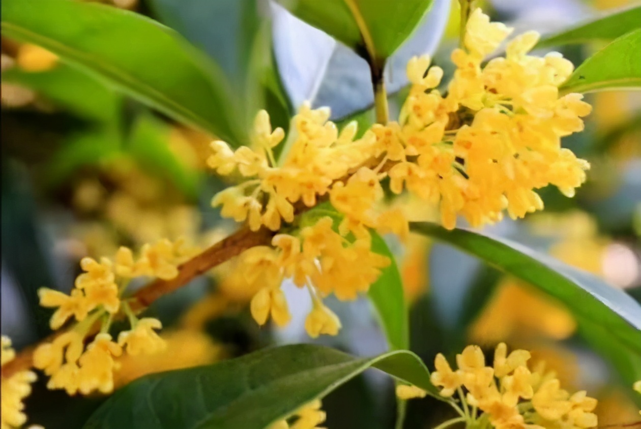 被人民日报点名的5所高校,湖北多名考生公开点名