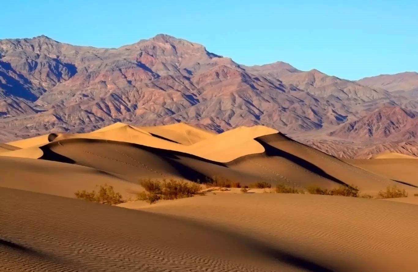伊基克是智利北部的重要港口城市,智利北部沙漠城市