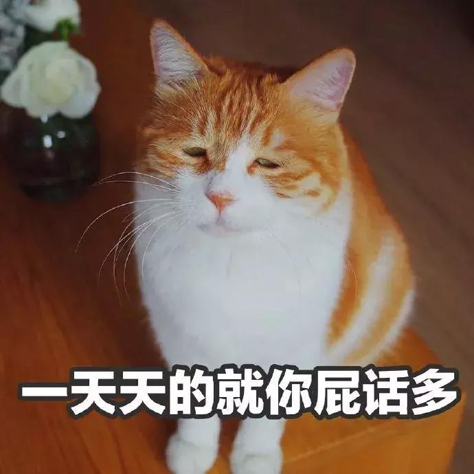 秋冬好用的水乳合集,秋冬水乳排行榜10强国货