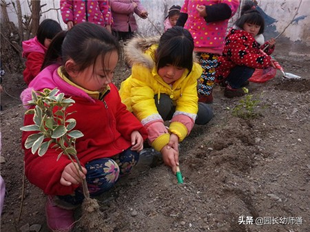 植树节幼儿园方案,幼儿园植树节活动策划方案