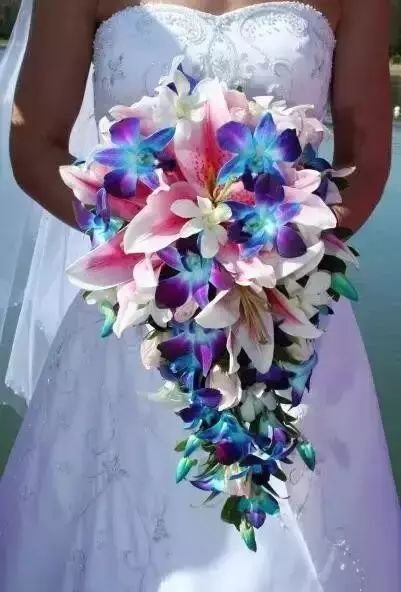 这才是世界上最贵的花卉,君子兰最便宜的花卉