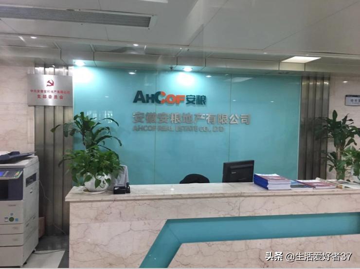 安徽安粮控股股份有限公司,安徽安粮地产有限公司