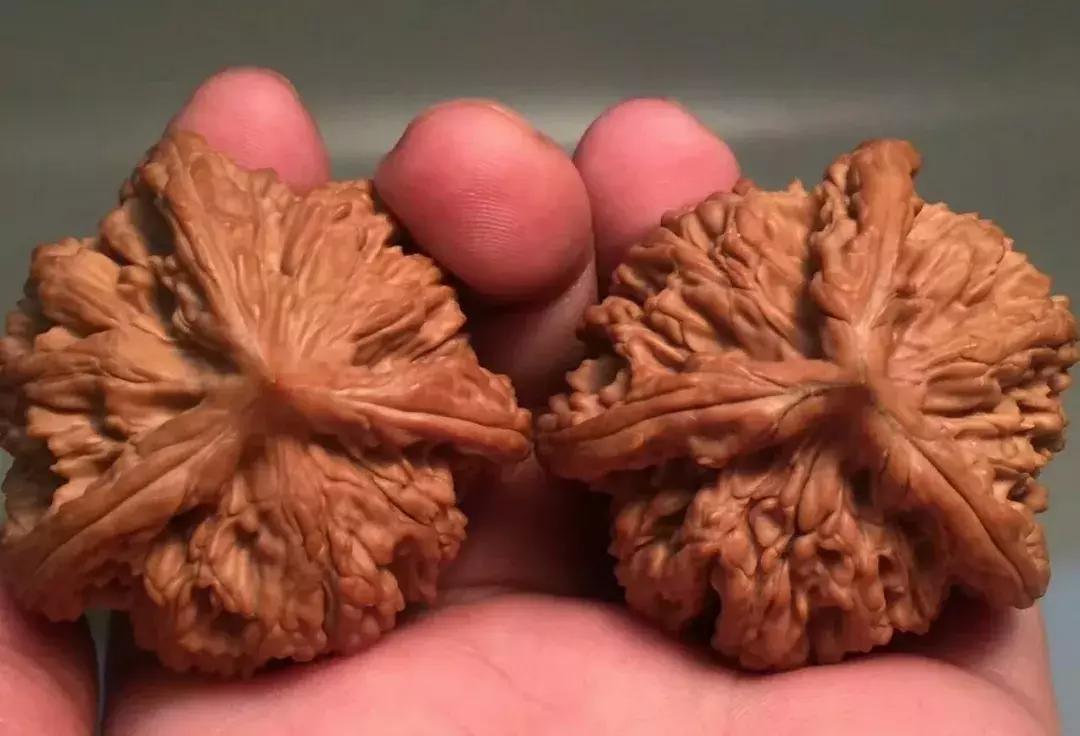 什么样的核桃漂亮,什么样的核桃不苦涩