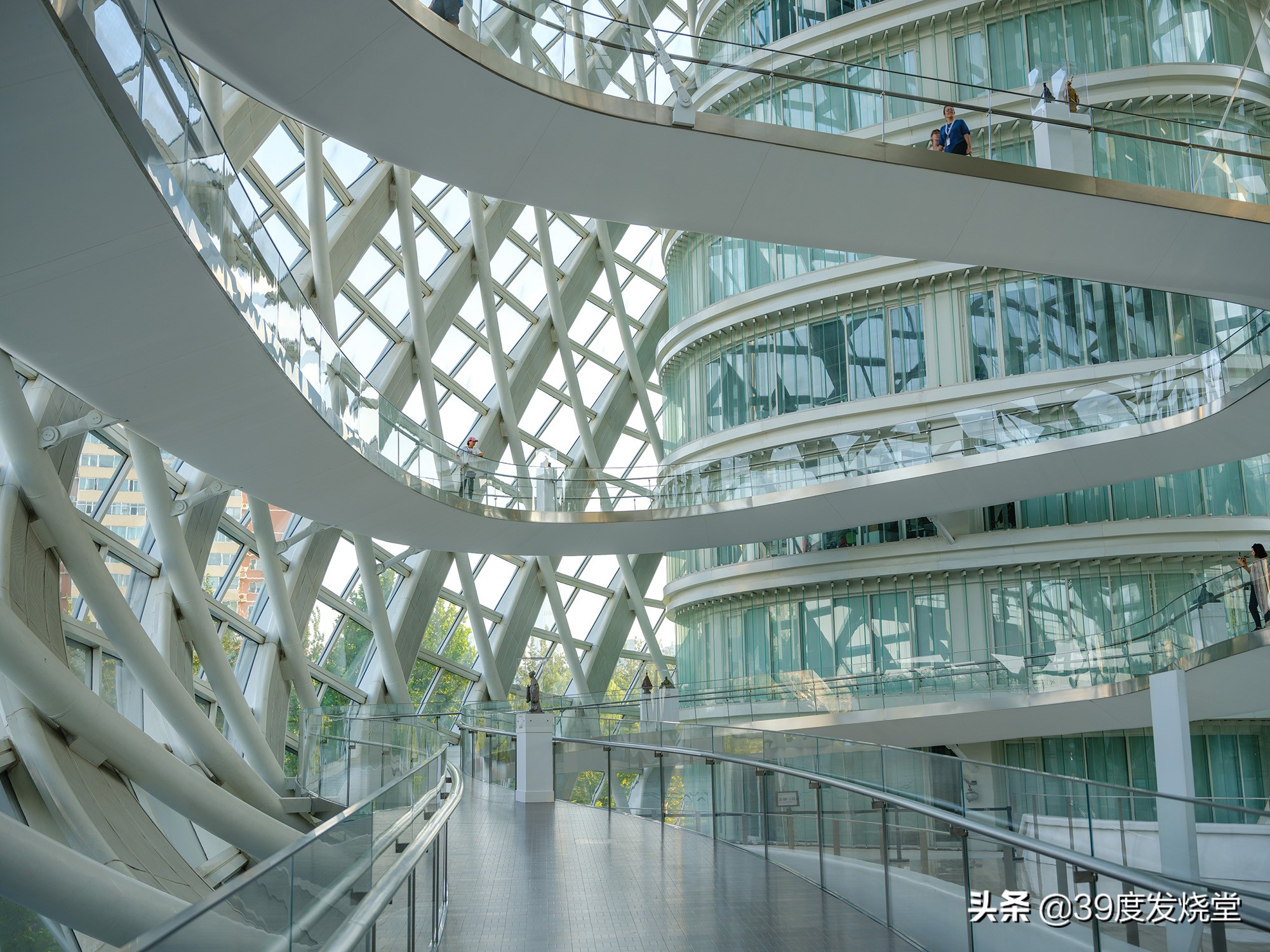 富士xf55-200mm镜头测评,富士gf45镜头测评