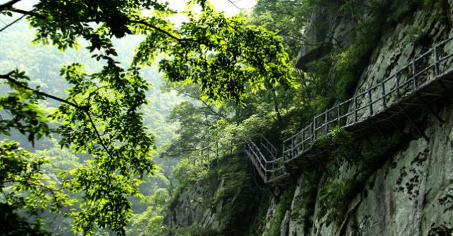 南阳宝天曼旅游景区天气,南阳宝天曼峡谷旅游