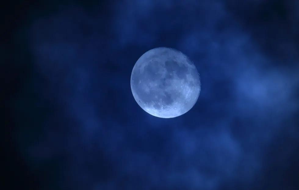 日语中和“春天”有关的词汇，也太有意境了