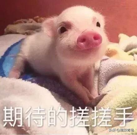 2005年青岛太平路学区房价格,青岛市南区二手房学区房