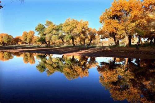 美得让人窒息的诗词,美得让人窒息的唐诗宋词