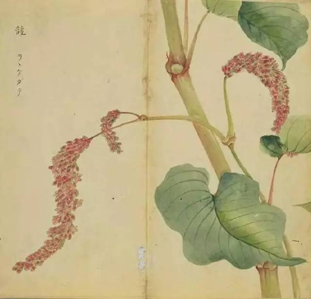 惊艳千年的古诗词合集,五千年来最美的20首诗