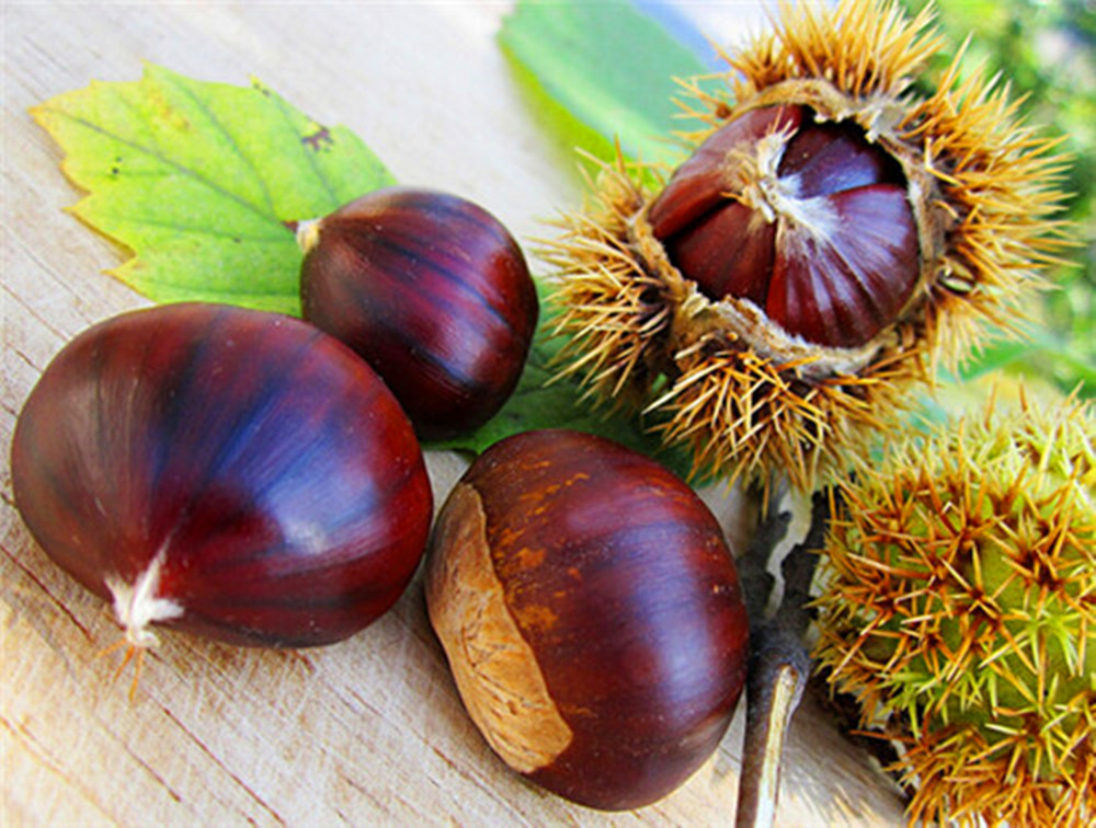 板栗吃不完第二天怎么加热,板栗放到冰箱保鲜能保多少天不坏