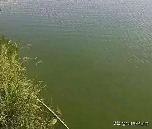 井水最佳调水方法,水质正常白天没口怎么调水