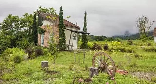 广西家庭农场补贴向哪个部门申请,农业扶持项目怎么申请