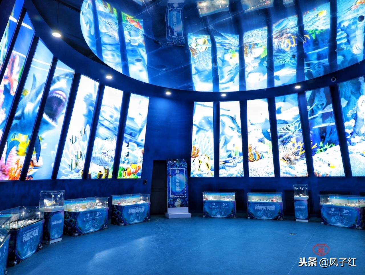 上海新地标丨海昌海洋公园一日游园玩法攻略