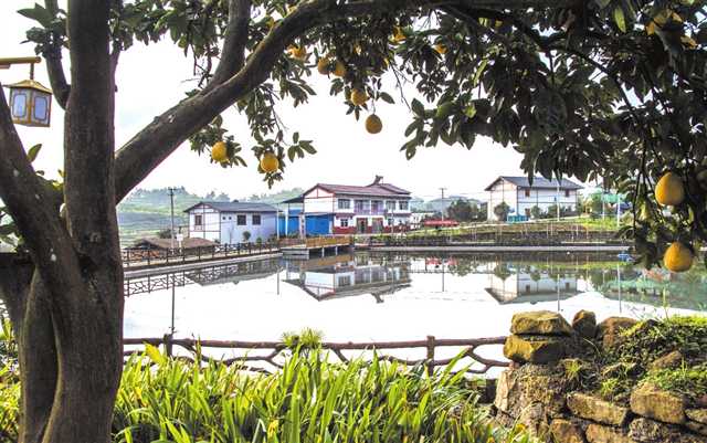 推进乡村振兴和人居环境整治,进一步改善农村人居环境和面貌