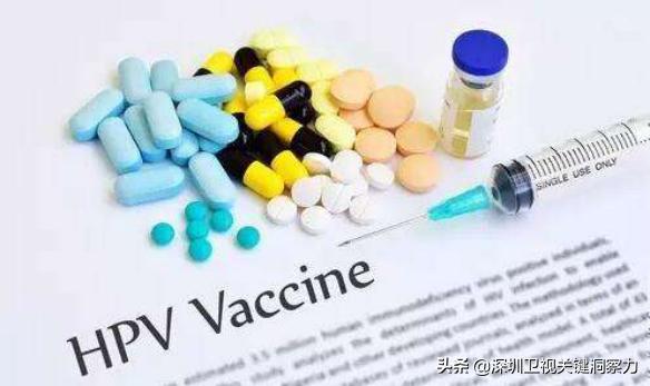 香港九价水货疫苗,香港疫苗最新动向