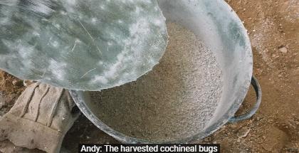 十大致癌口红排名,十大致癌的口红