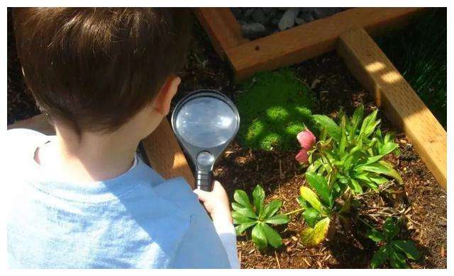 想让娃长大后有出息？清华校长：每天晚上对他说这4句话，别偷懒