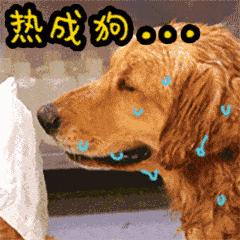 炎炎夏日来一段笑话,炎热酷暑加点清凉笑话