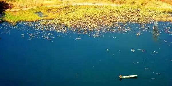 云南适合深秋游玩的地方,云南的秋天适合去哪些景点