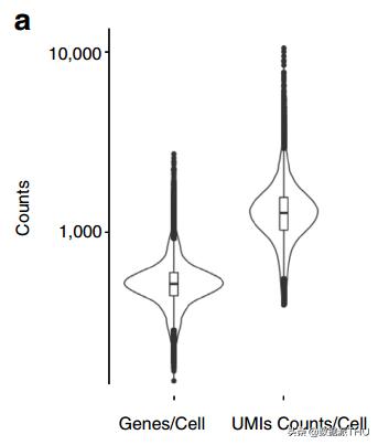 数据挖掘和数据分析基础知识,数据挖掘十大实用分析方法