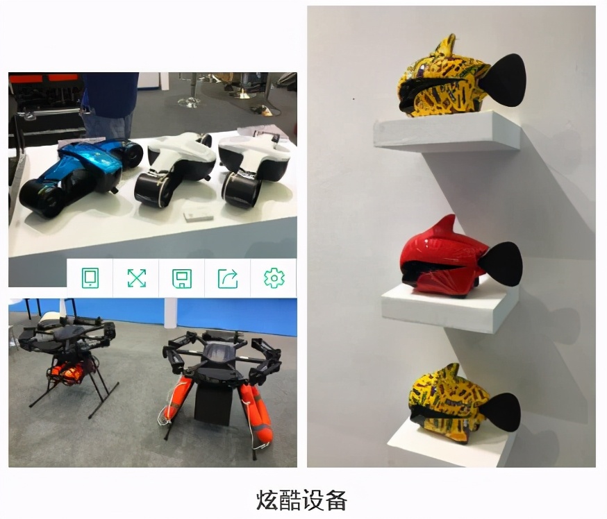 海精灵带你第一时间零距离感受2020海博会盛况