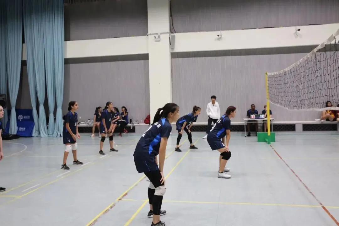 转新学校不适应,读了国际学校反而很迷茫