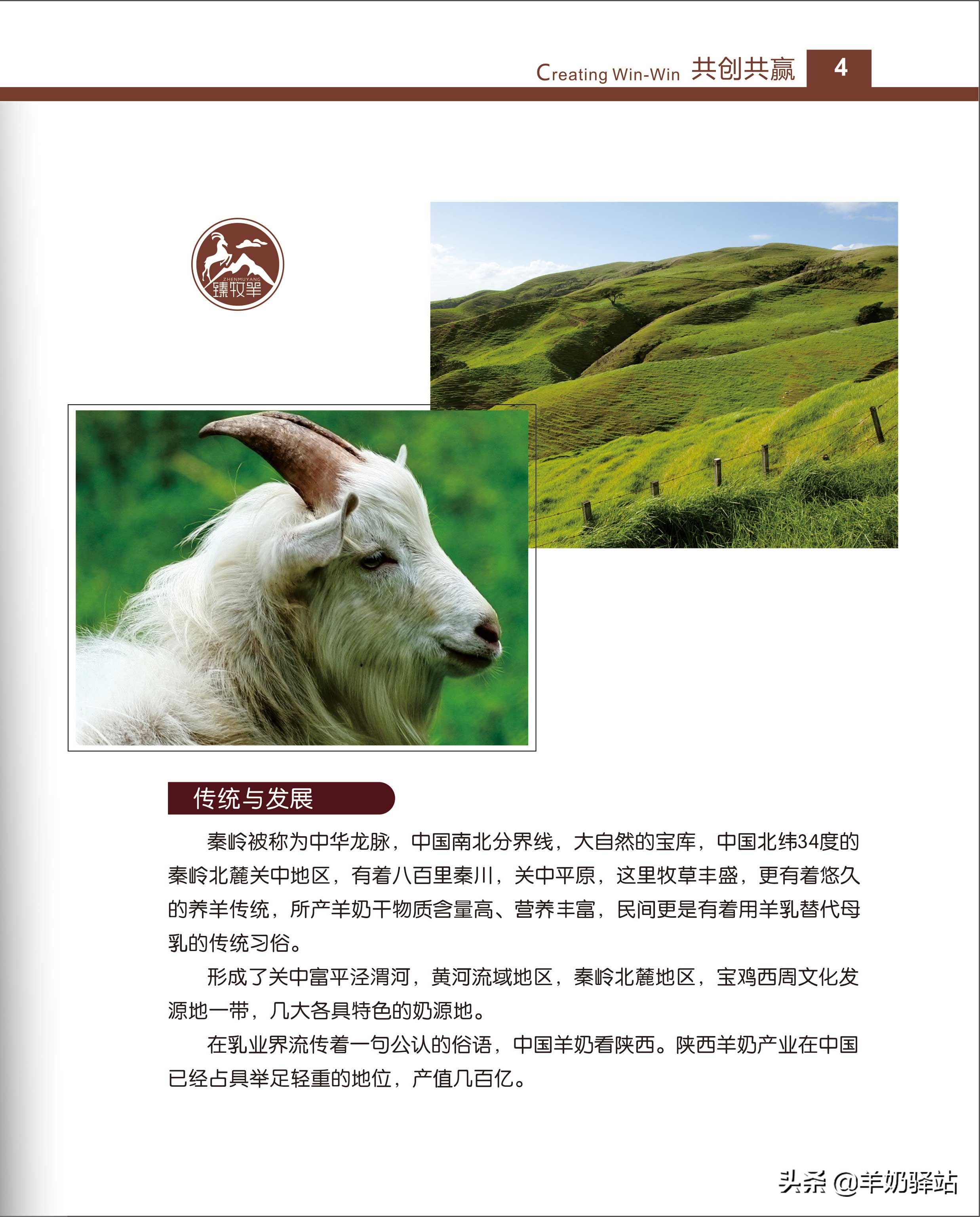 羊奶驿站加盟宣传片,羊奶驿站加盟经营模式