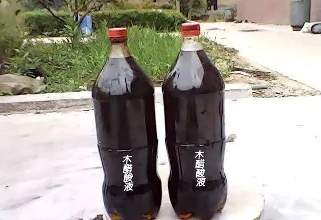 植物长虫子了怎么杀虫,植物长虫杀虫剂