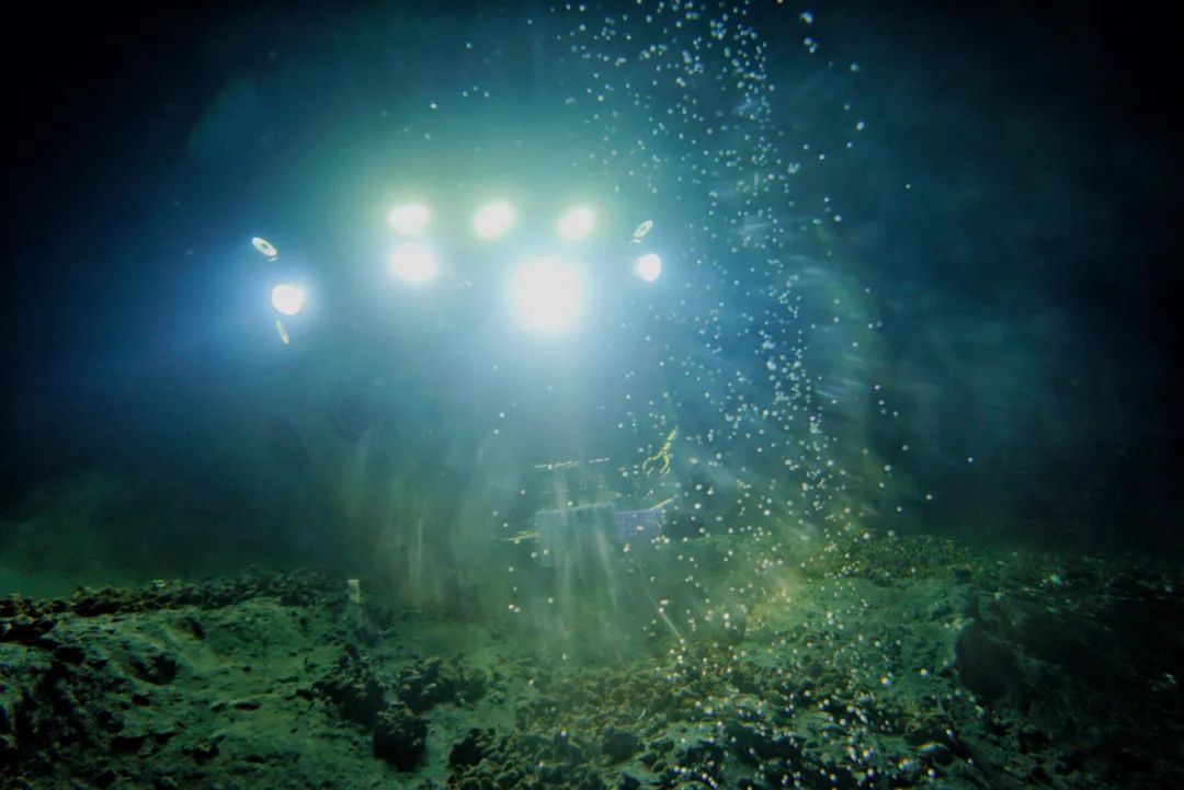 “冷泉”——深海荒原中的绿洲，发现可燃冰的信号