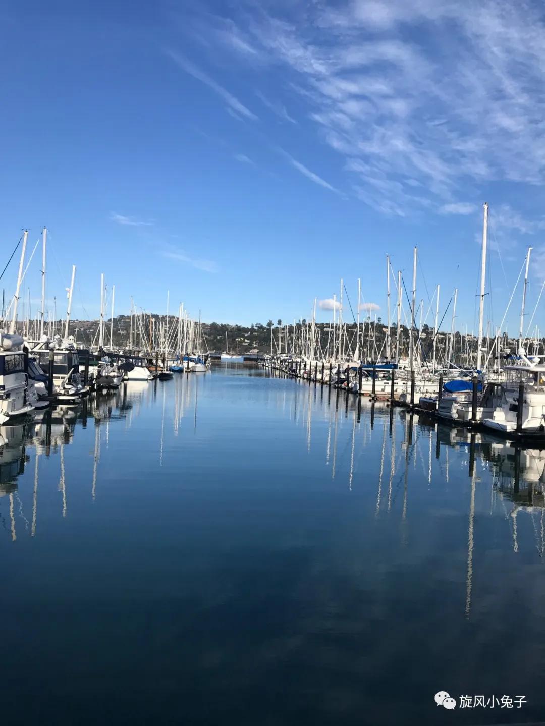 加州沿海1号公路自驾游散装系列（一）：阳光北加的金山依旧