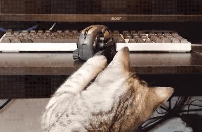 为了狗狗不被春节的鞭炮吓到,造汽车的福特公司造了一个狗窝