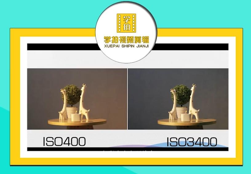 几招教你解决单反拍视频噪点问题学习视频拍摄记得收藏备用