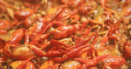 追剧最好吃的小零食,九款好吃不贵的零食种草追剧必备