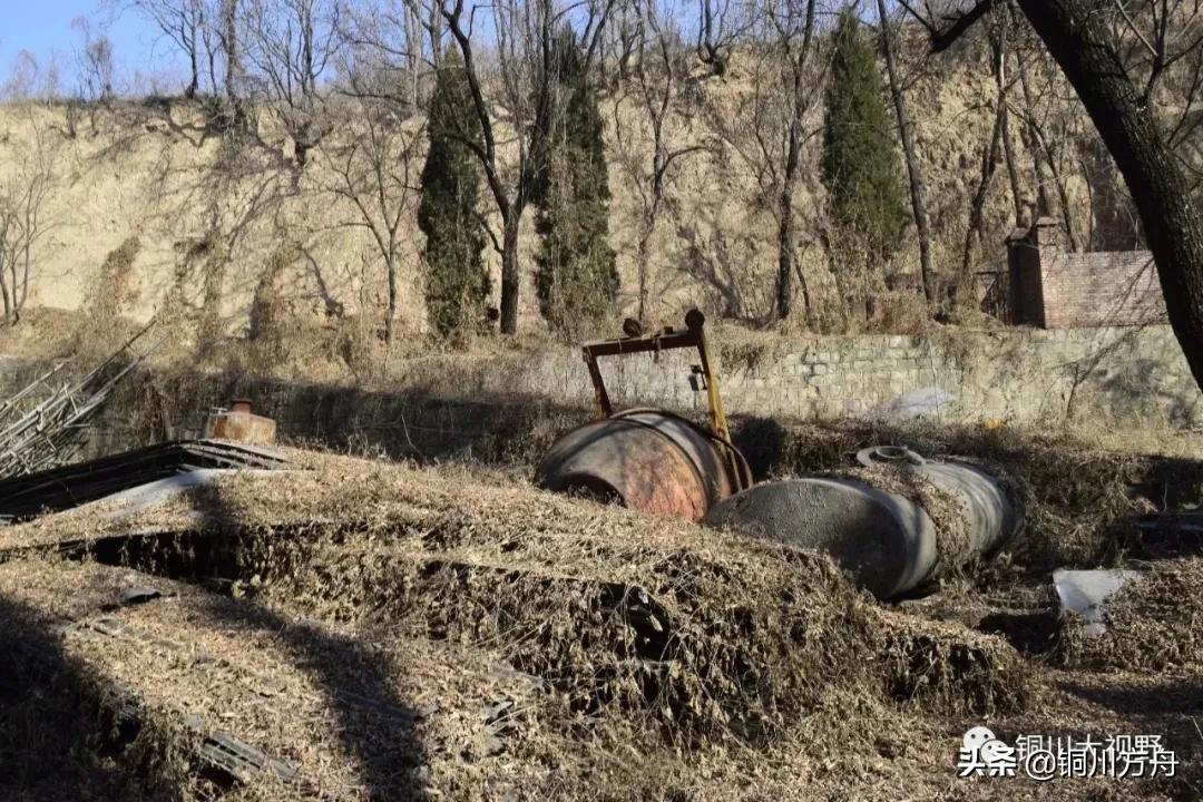 还记得当年啤酒的味道吗,铜川有什么啤酒品牌