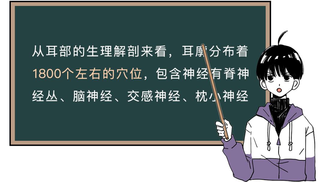 耳朵敏感整个人酥掉,人的耳朵有多脆弱