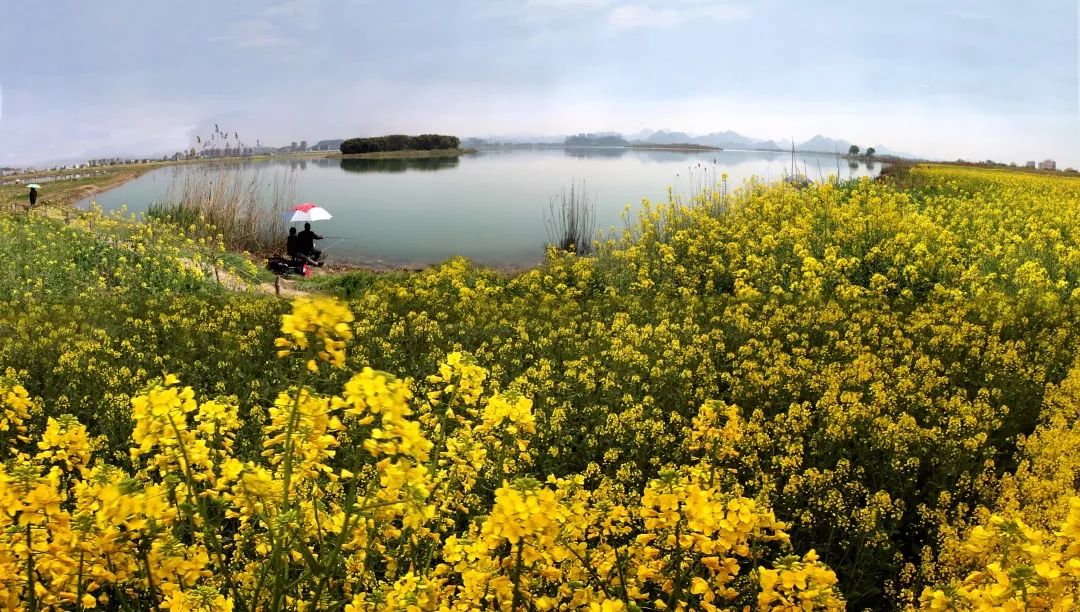 杭州十大绿道,杭州一条千里绿道
