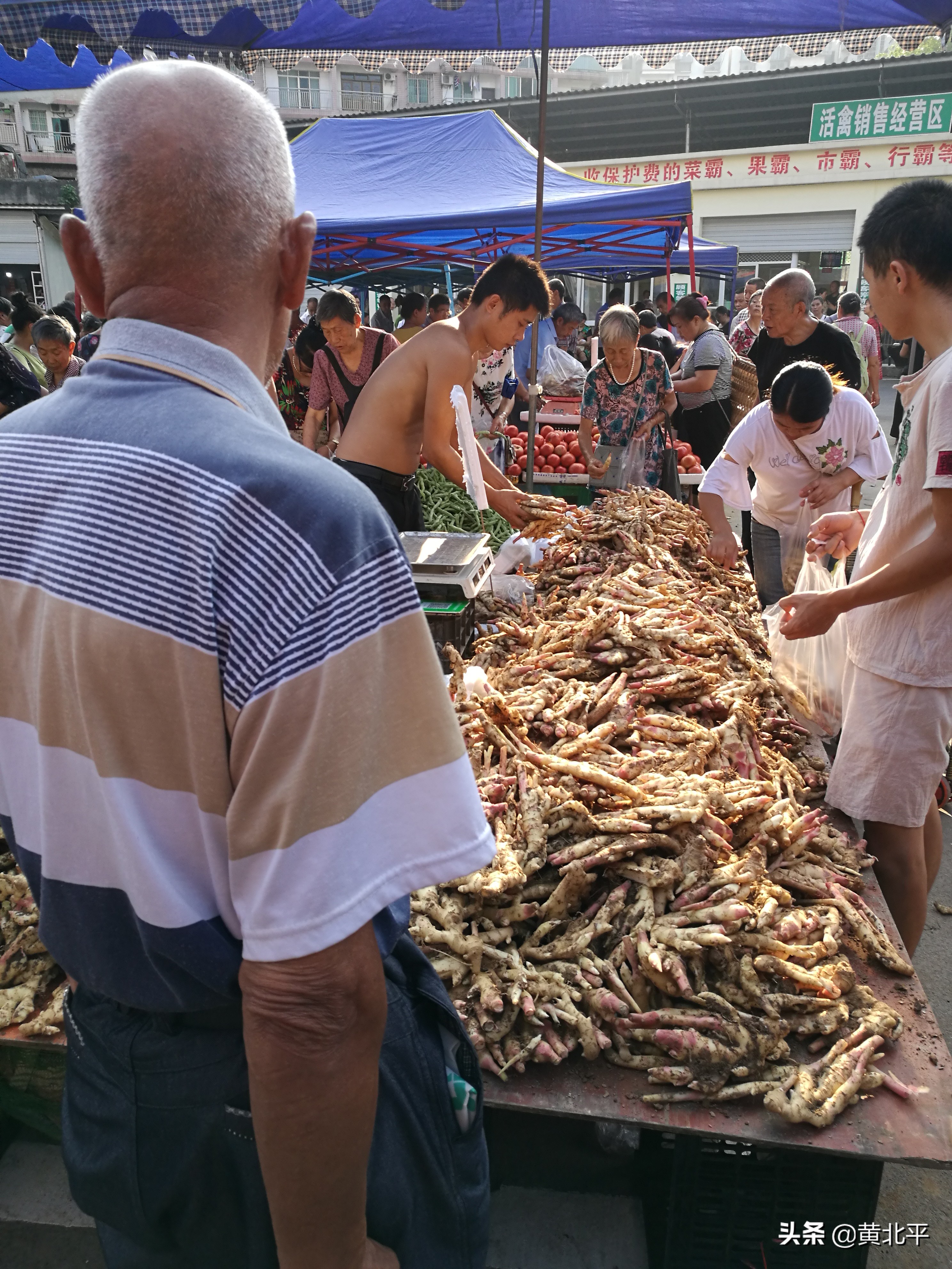 重庆市巴南区界石镇特色,重庆市巴南区界石镇房价