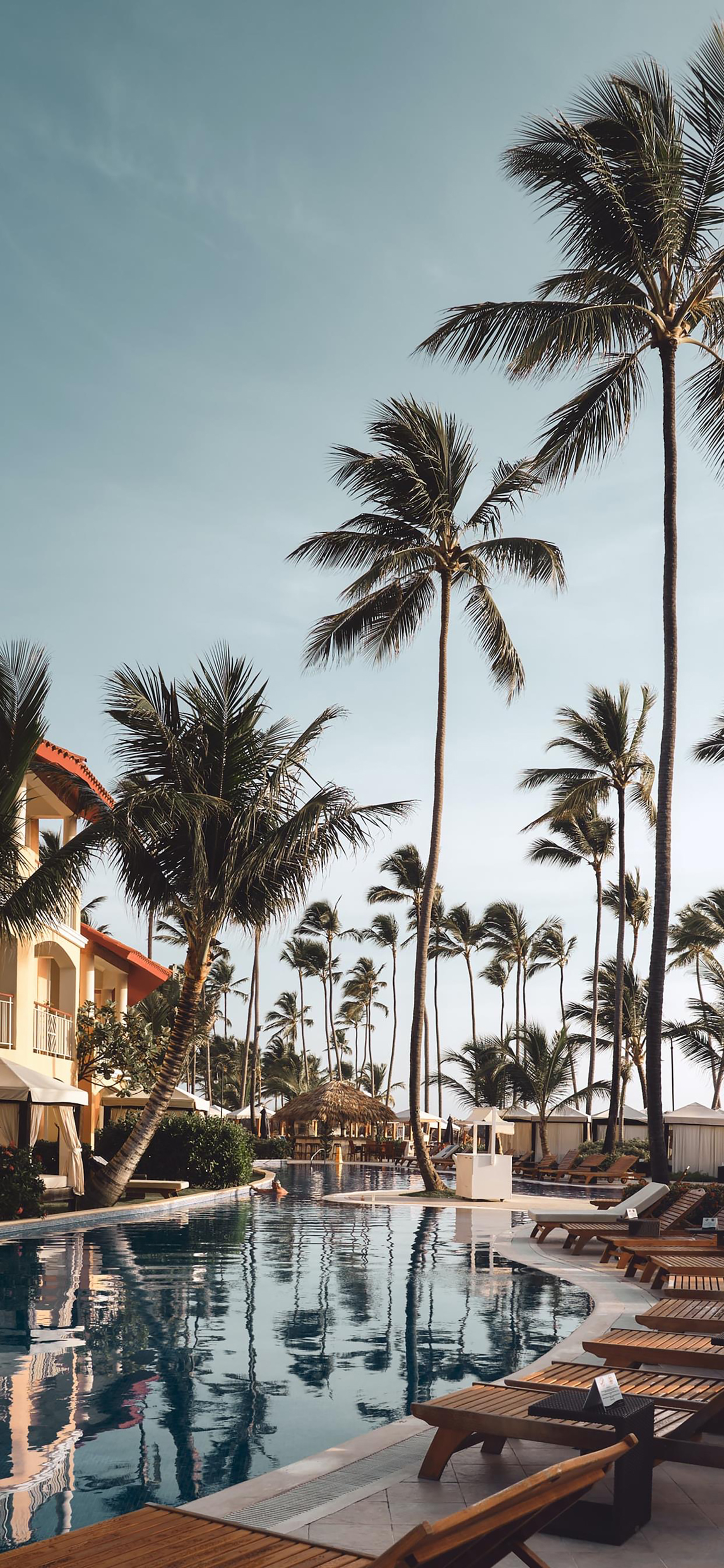 壁纸仙女绿色系护眼壁纸套图,各种高清护眼壁纸