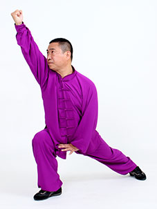 心意拳必学三招,心意六合拳十二把劲练法