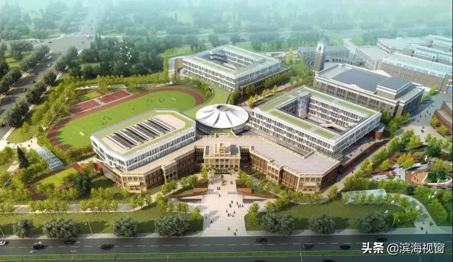 滨海新区示范小学,滨海新区小学排名一览表