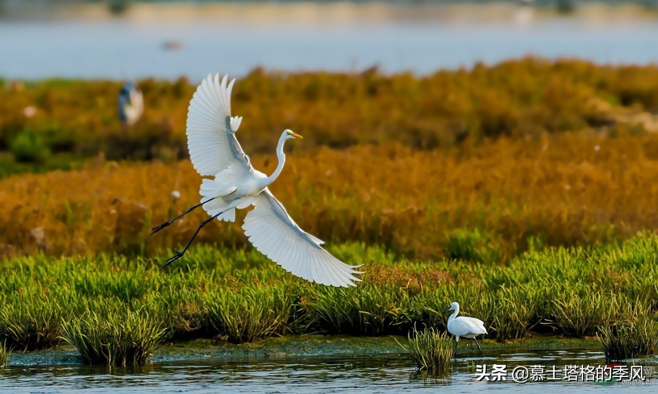 中国被低估的城市,最被低估的宜居城市