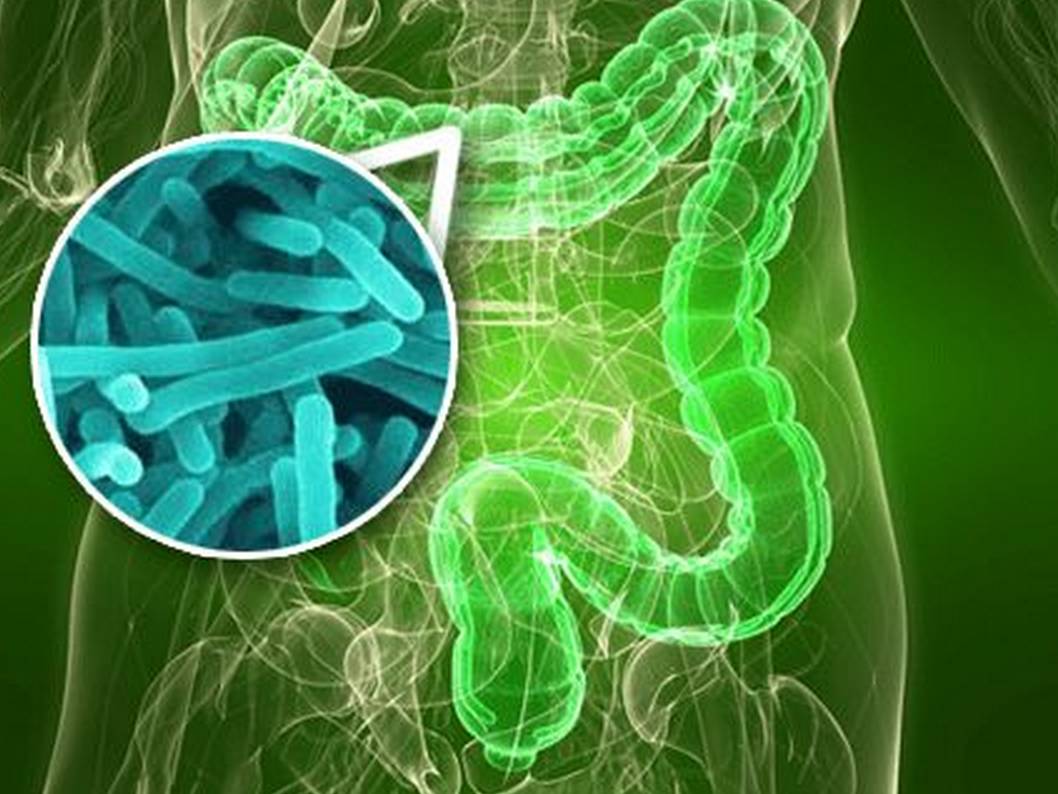 益生菌中哪种菌株可以提高免疫力,新毒株对应的益生菌有哪些